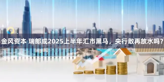 金风资本 瑞郎成2025上半年汇市黑马，央行敢再放水吗？