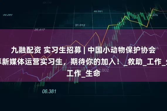 九融配资 实习生招募 | 中国小动物保护协会招募新媒体运营实习生，期待你的加入！_救助_工作_生命