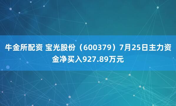 牛金所配资 宝光股份（600379）7月25日主力资金净买入927.89万元